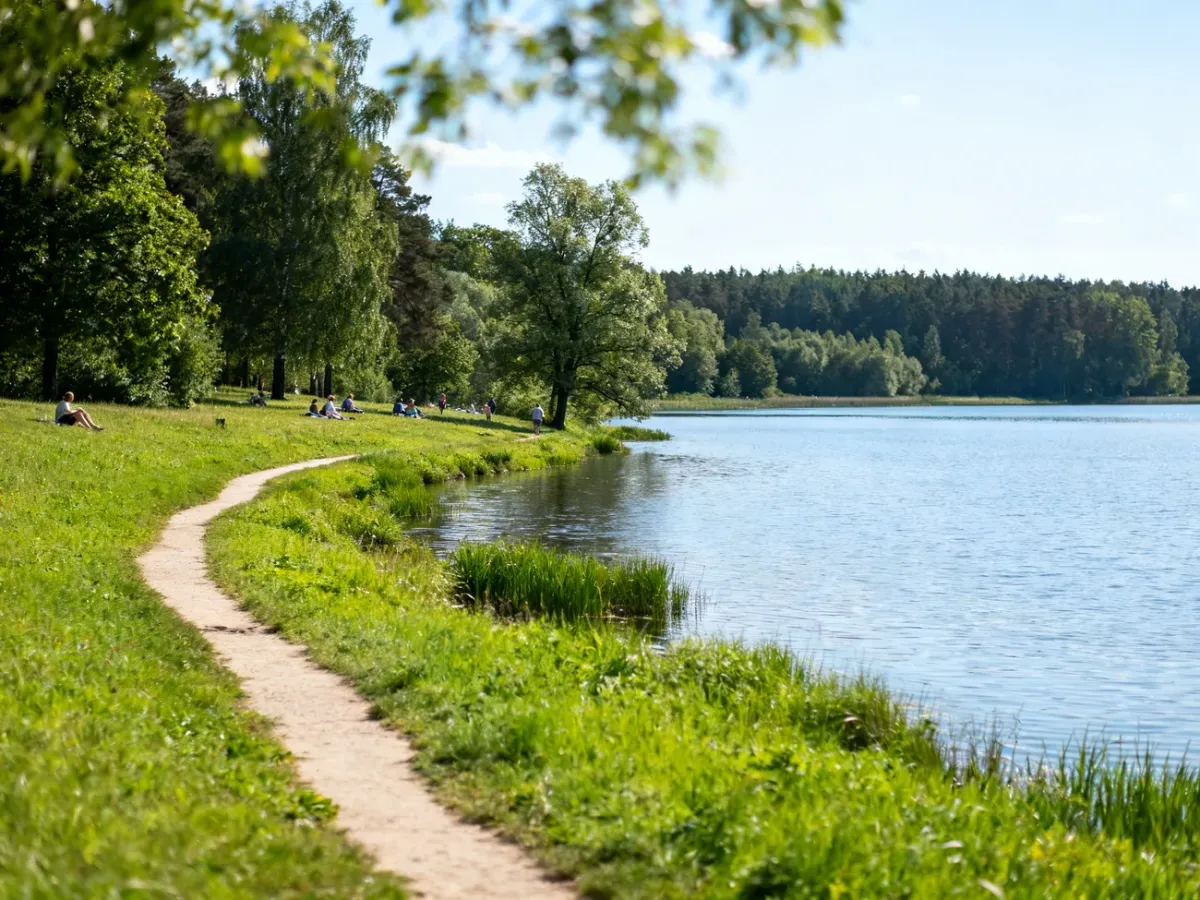 Jezioro Cichowo i jego zielone otoczenie
